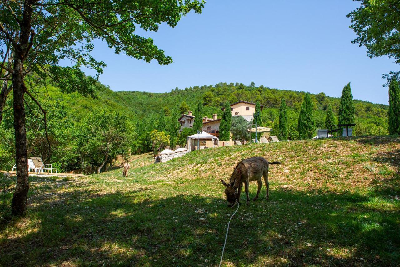 Borgo Incantato Spoleto Vakantieboerderij