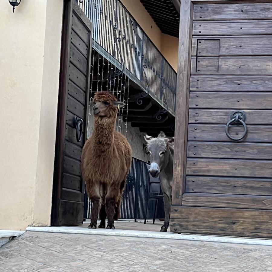 Borgo Incantato Spoleto Pompagnano